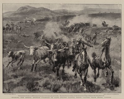 Dishing the Boers, British Farmers in Cape Colony Saving Their Cattle from Being Looted by Frank Dadd